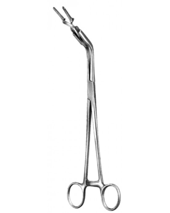 Bulldog Applying Fcps 23cm