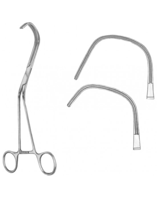 Lambert-Key Atrauma Artic Anastomosis Clamps BJ 21cm/8 1/4