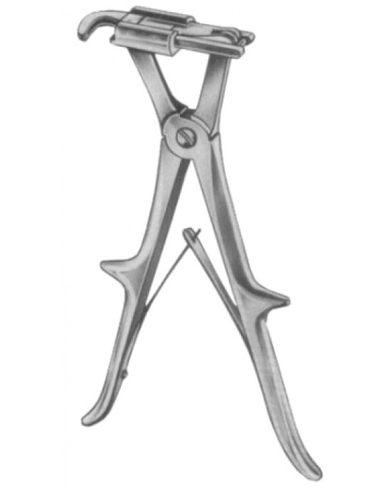 Sauerbruch Rib Shear  24cm/9 1/2
