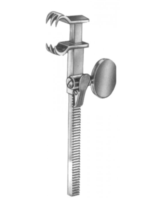Bailey-Baby Rib Contractors 14cm/5 1/2