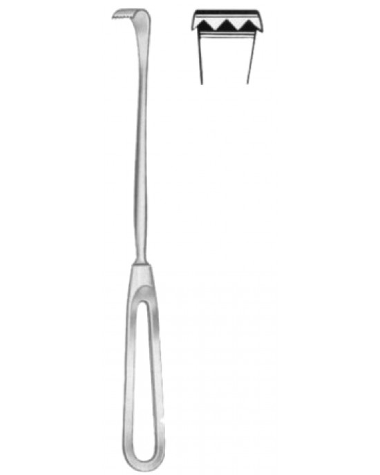 Oldberg Nerve Root Retractors 21cm/8 1/4