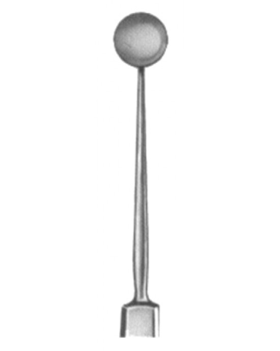 Bunge Exenteration Scoops