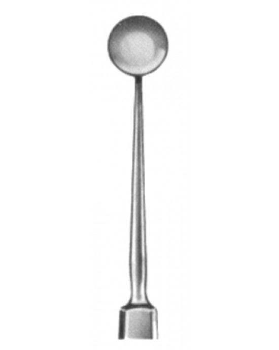Bunge Exenteration Scoops