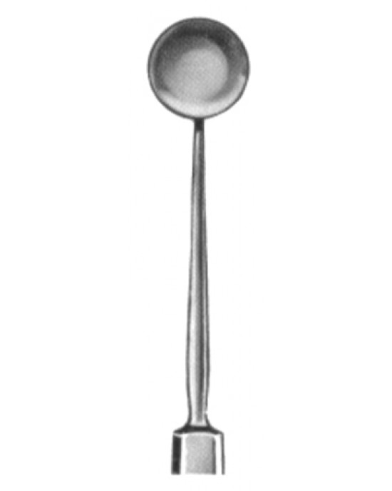 Bunge Exenteration Scoops