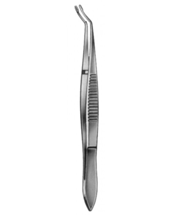 Arruga Capsular Forceps 9.5cm/3 3/4