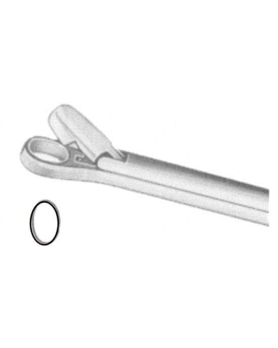 Grunwald Nasal Cutting Forceps Fig # 2