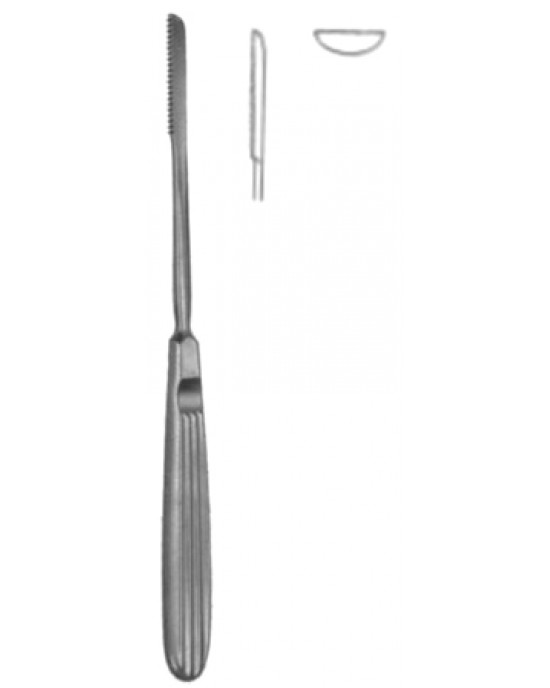 Rasps With Tungsten Carbide Inserts 19cm/7 1/2