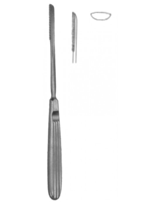 Rasps With Tungsten Carbide Inserts 19cm/7 1/2