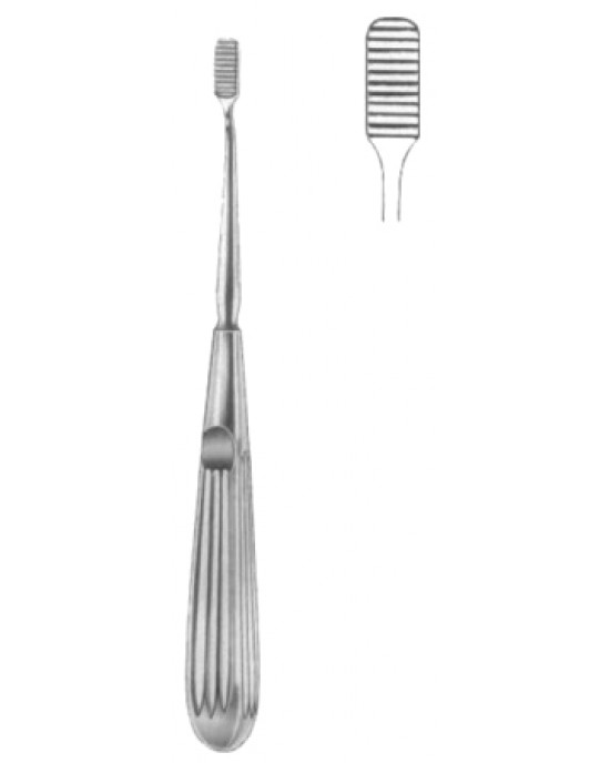 Lewis Nasal Rasps 18cm/7
