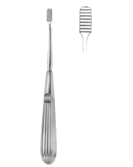 Lewis Nasal Rasps 18cm/7