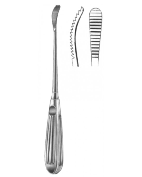 Aufricht Nasal Rasps 21cm/8 1/4