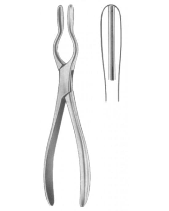Walsham Septum Straighting Forceps 23cm/9