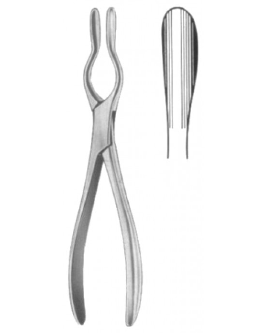 Walsham Septum Straighting Forceps 23cm/9
