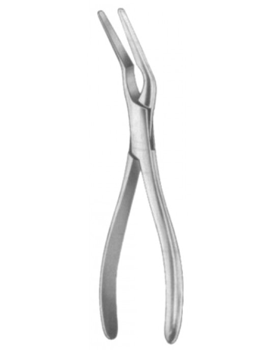 Asch Septum Straighting Forceps 23cm/9