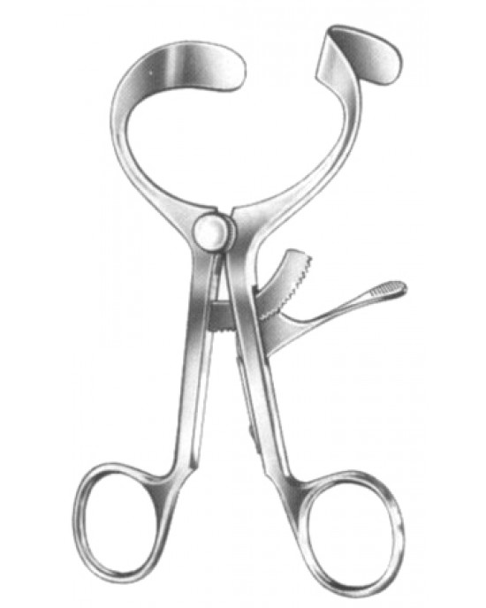 Molt Mouth Gags 14cm/5 1/2