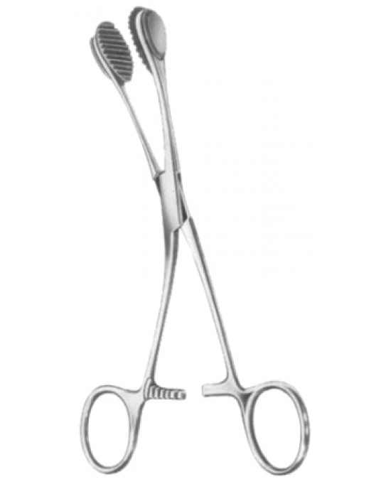 Young Tongue Depressors and Forceps 17cm/6 3/4