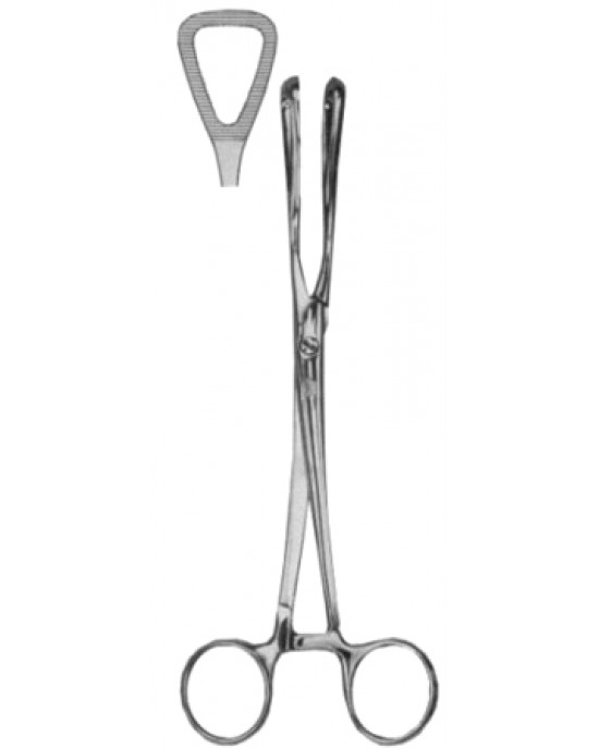 Guys Tongue Depressors and Forceps 19cm/7 1/2
