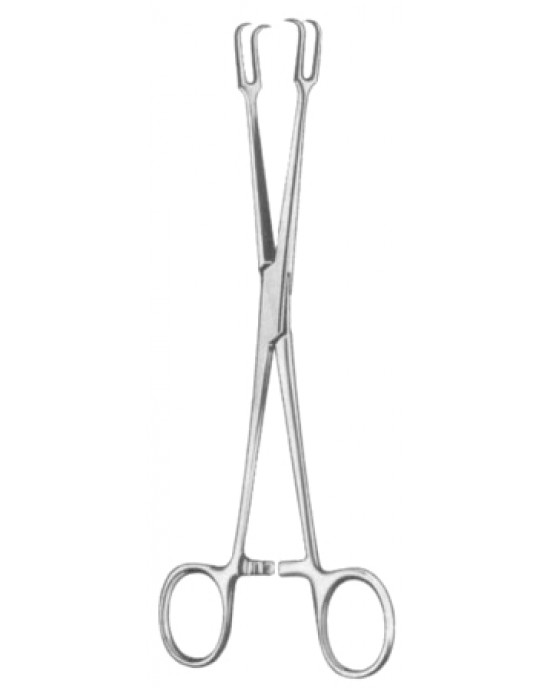 Museux Tonsil Seizing Forceps (Curved) 20cm/8