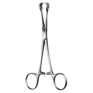Lahey Goitre Seizing Fcps 3x3T, 15cm
