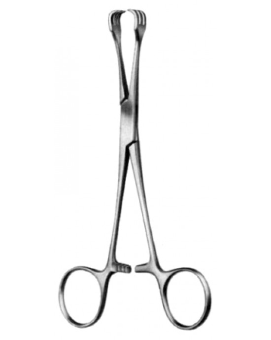 Lahey Goitre Seizing Fcps 3x3T, 20cm