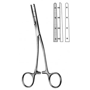 Mastin Muscular Fcps left 17cm