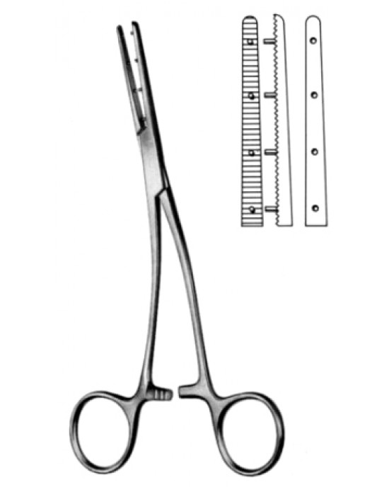 Mastin Muscular Fcps left 17cm