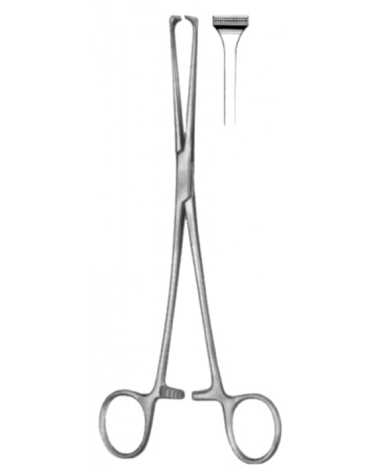 Allis-Atrauma Tissue Forceps BJ 20cm/8