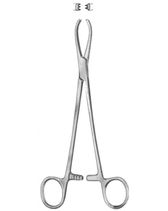 Littlewood Intestinal Tissue Forceps BJ 18.5cm/7 1/4