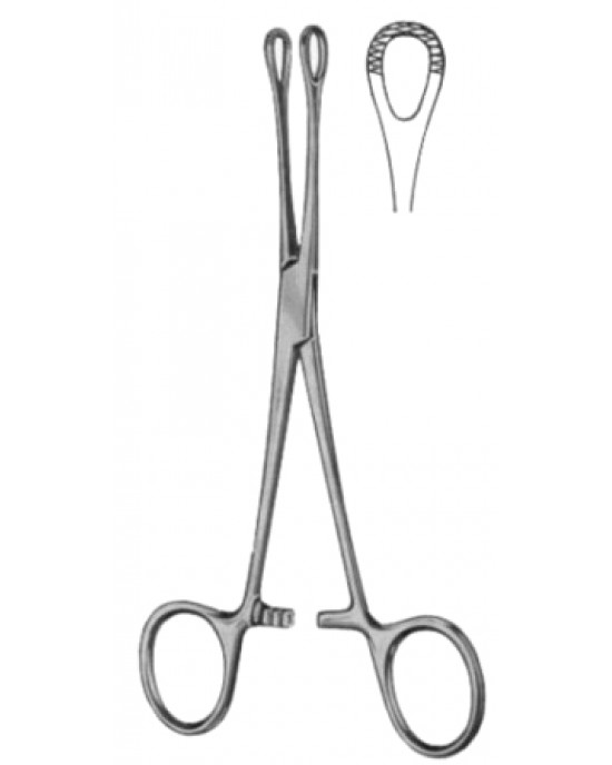 Williams Intestinal Tissue Forceps BJ 16cm/6 1/4