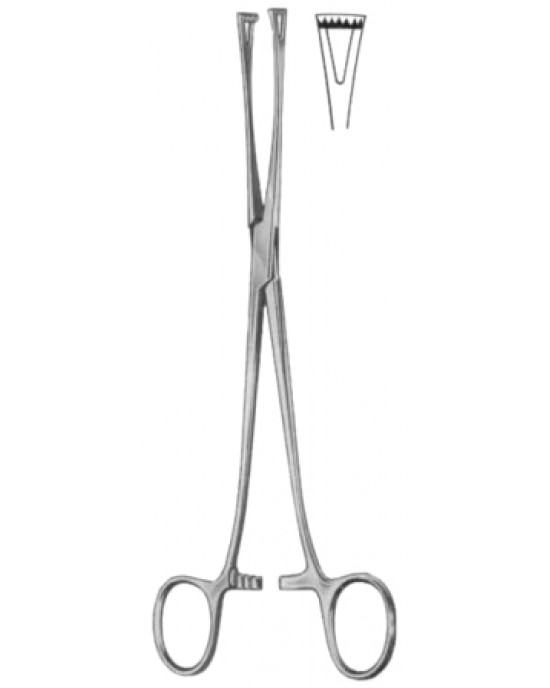 Lockwood Intestinal Tissue Forceps BJ 20cm/8