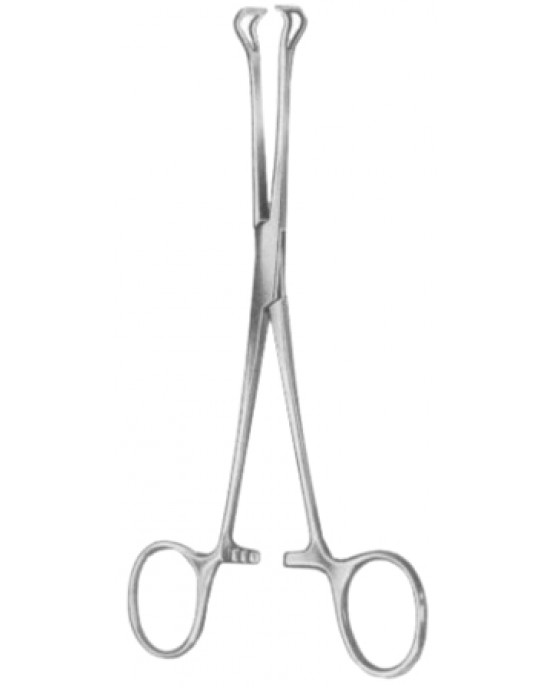 Babcock (Standard) Tissue Forceps BJ 18cm/7