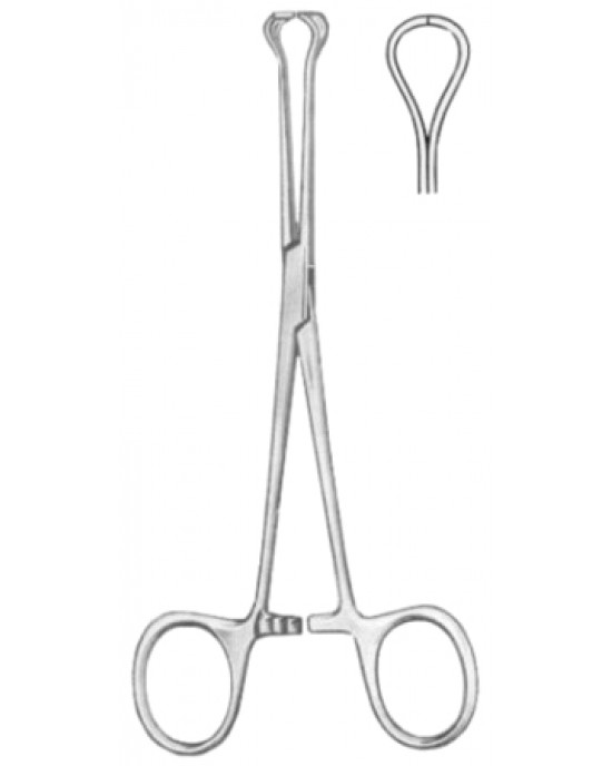 Baby-Babcock Tissue Forceps BJ 16cm/6 1/4