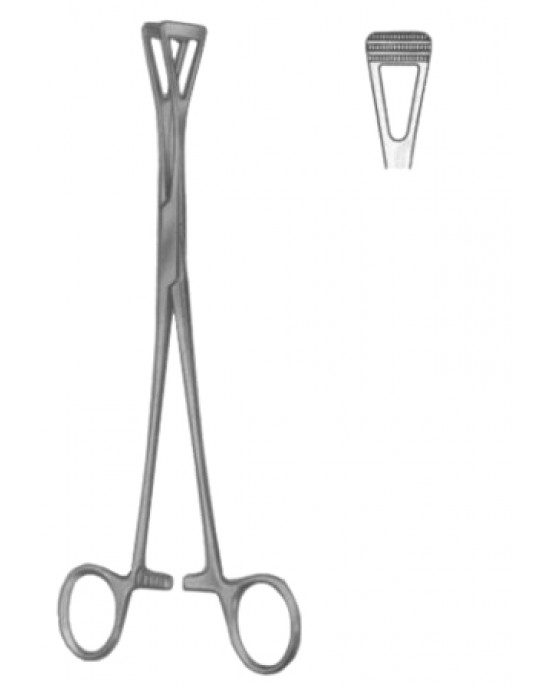 Intestinal Tissue Forceps BJ 18cm/7