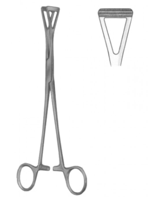 Intestinal Tissue Forceps BJ 20cm/8