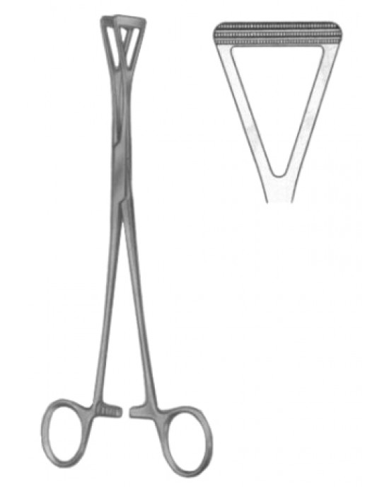 Intestinal Tissue Forceps BJ 23cm/9