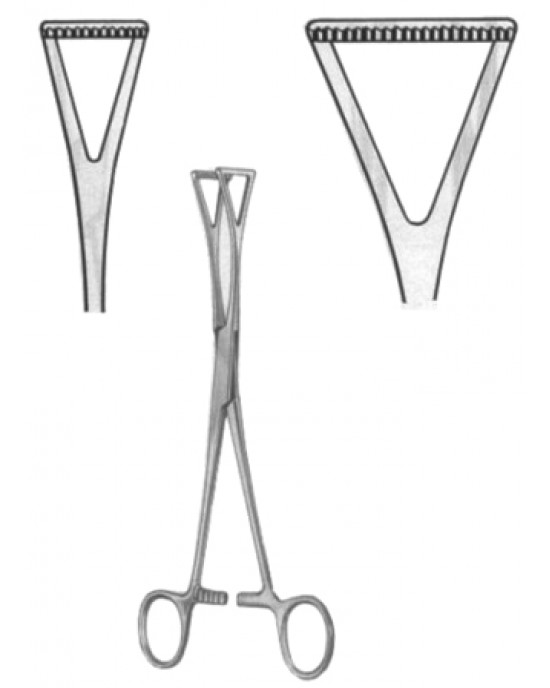 Duval Organ Grasing Forceps BJ 18cm/7