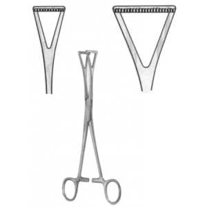 Duval Organ Grasing Forceps BJ 20cm/8