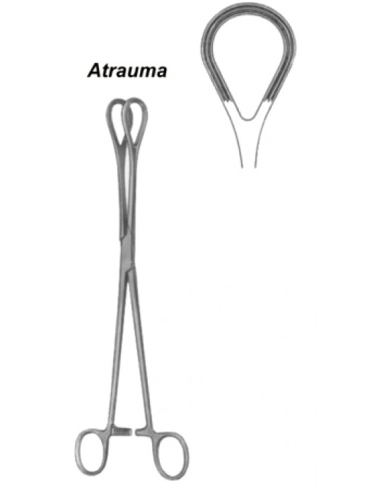 Organ Grasing Forceps BJ 25cm/10