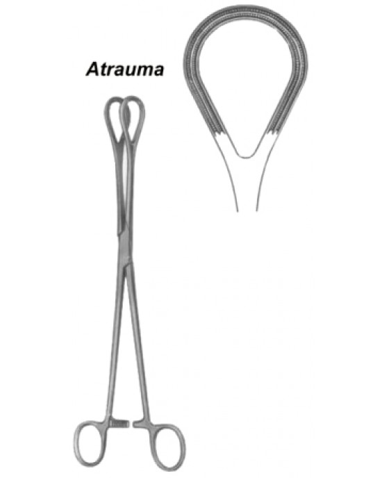 Organ Grasing Forceps BJ 26cm/10 1/4