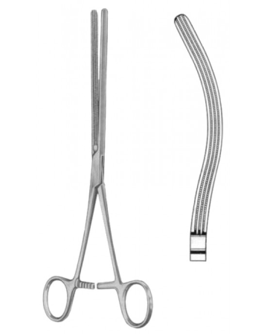 Kocher-Atrauma Intestinal Clamps Forceps BJ Curved 22cm/8 3/4