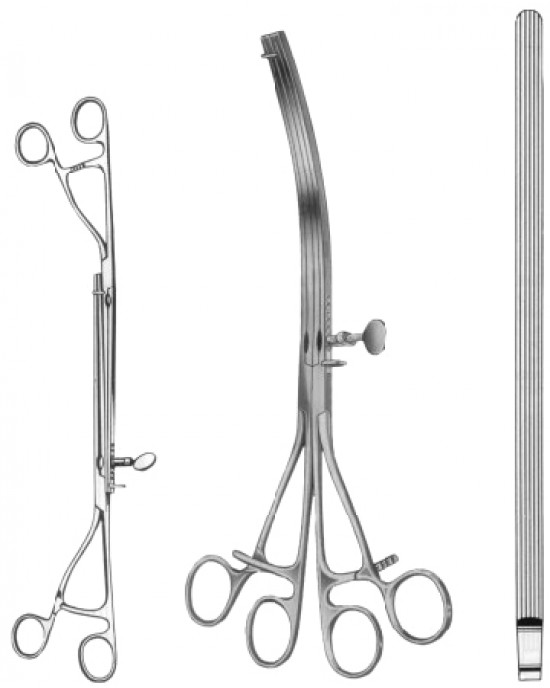 Lane Intestinal Stomach Clamps BJ Straight 30cm/12