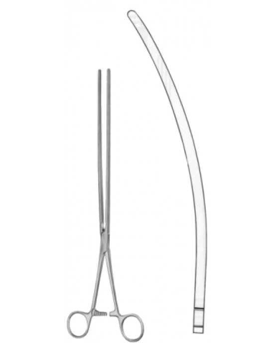 Scudder Atrauma Intestinal Forceps BJ Curved 33cm/13