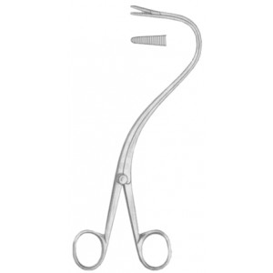 Elsasser Nephrostomy Forceps 20cm/8