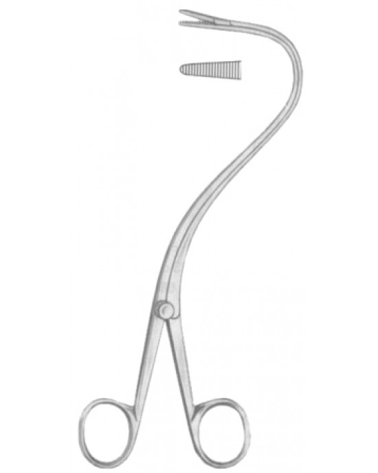 Elsasser Nephrostomy Forceps 20cm/8