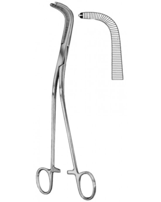 Gray Gall Duct Forceps BJ 1:2 22cm/8 3/4