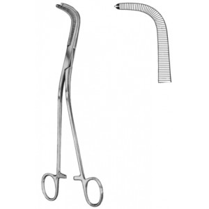 Gray Gall Duct Forceps BJ 1:2 23cm/9