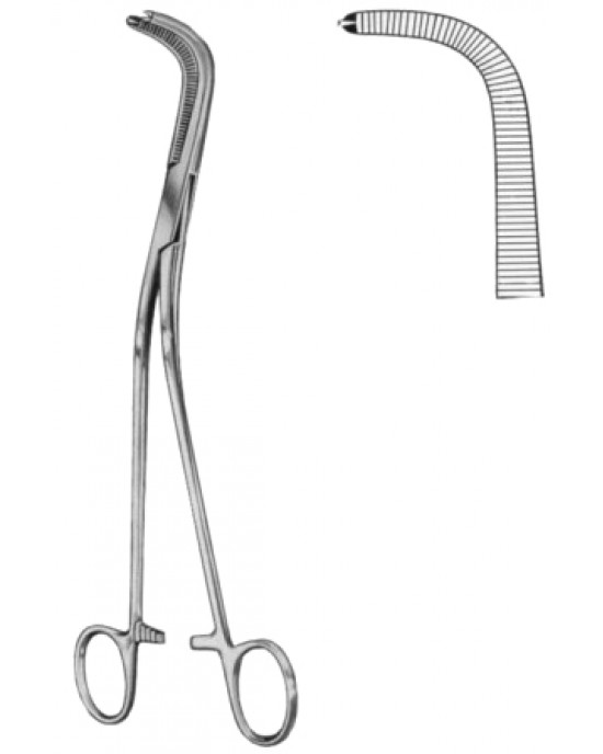 Gray Gall Duct Forceps BJ 1:2 23cm/9