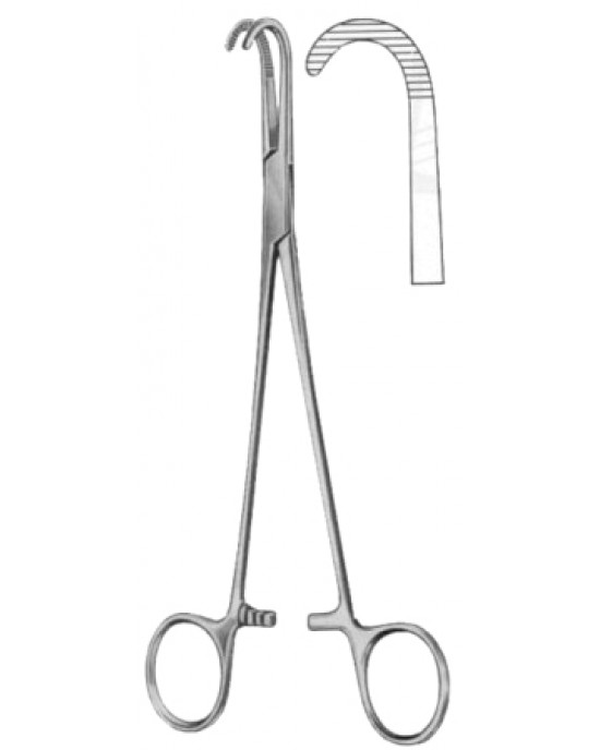 Desjardins Gall Duct Forceps BJ 21cm/8 1/4