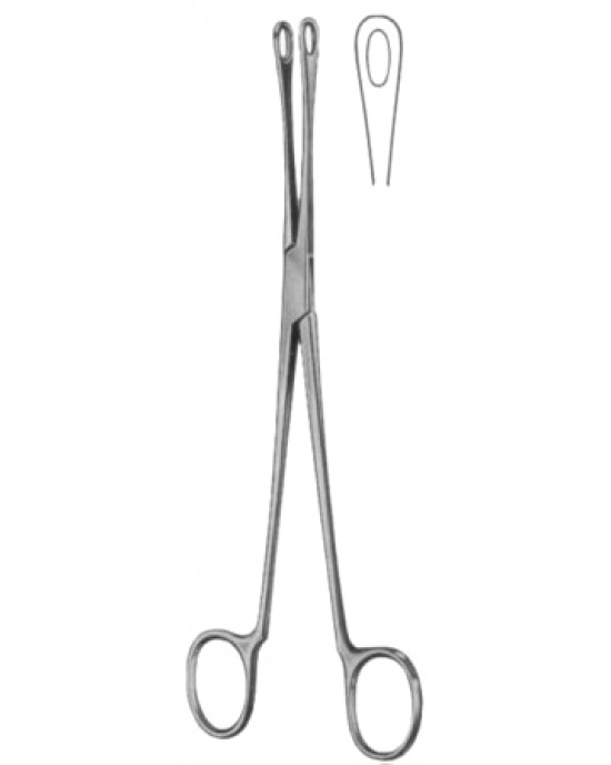 Blake Gall Stone Forceps BJ Curved 20cm/8