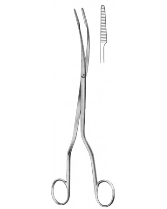 Czerny Gall Stone Forceps SJ 24.5cm/9 3/4